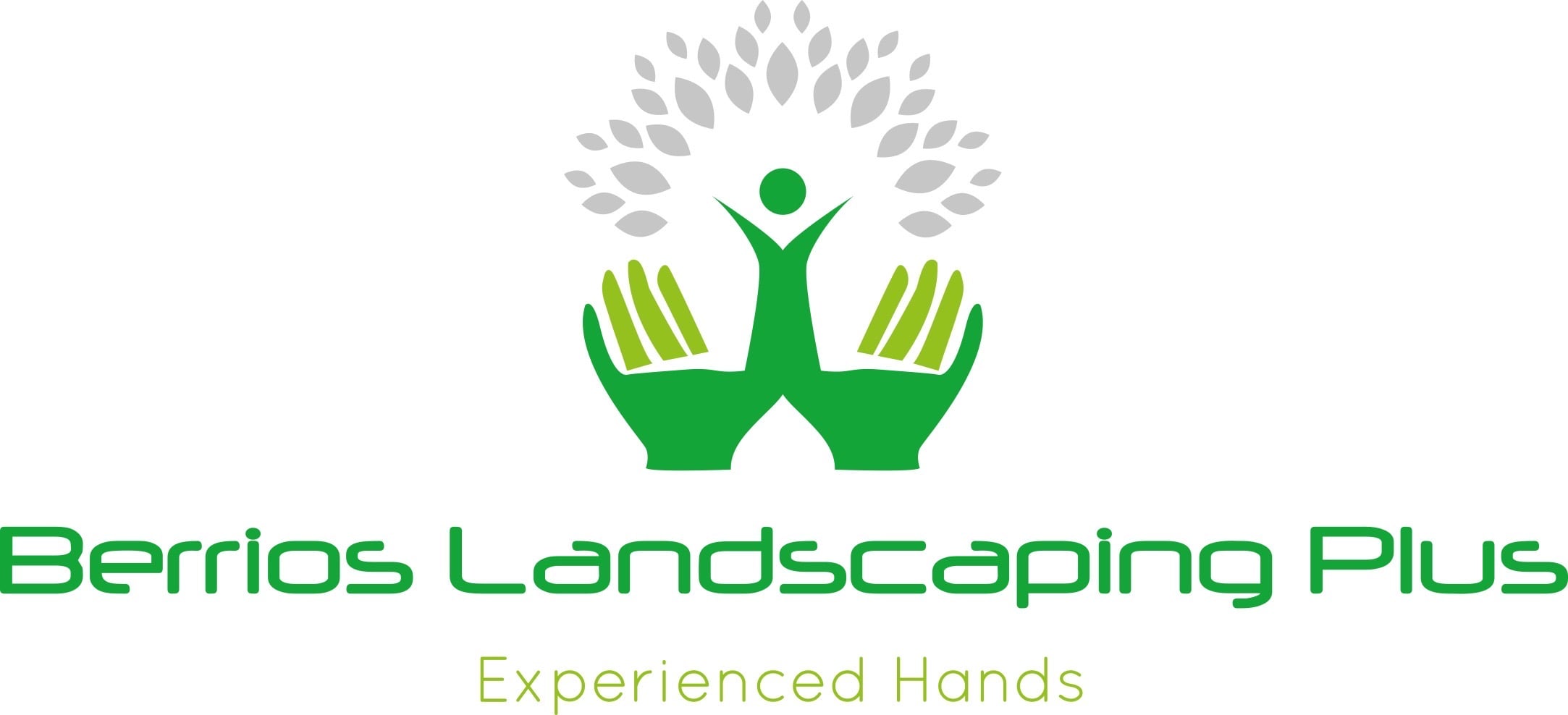 Avatar for Berrios Landscaping Plus, LLC