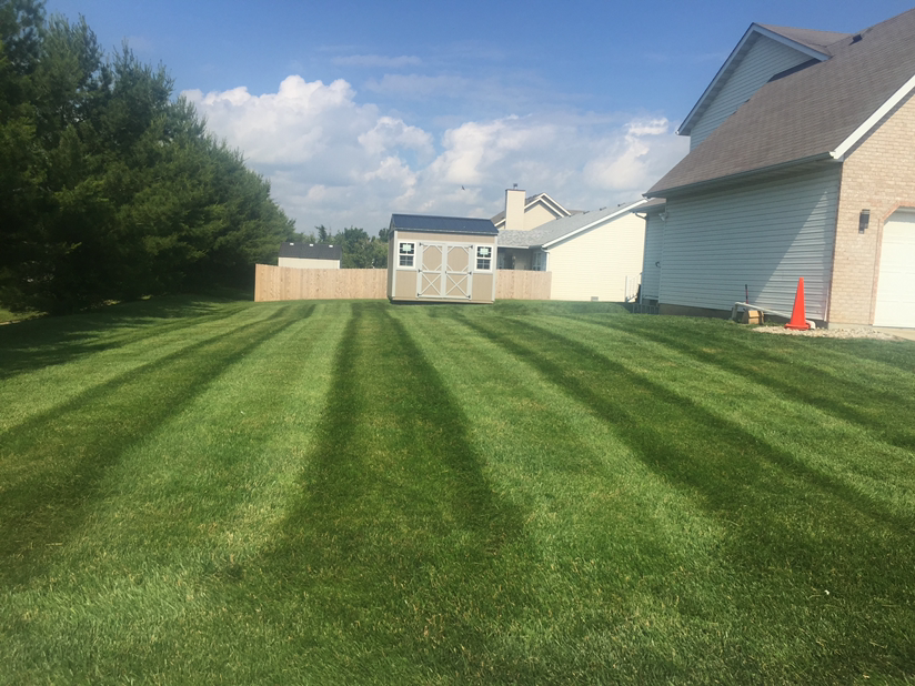 Chabod Construction and Landscaping logo