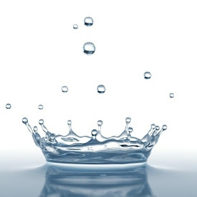Avatar for Dripping Wet Pressure Washing