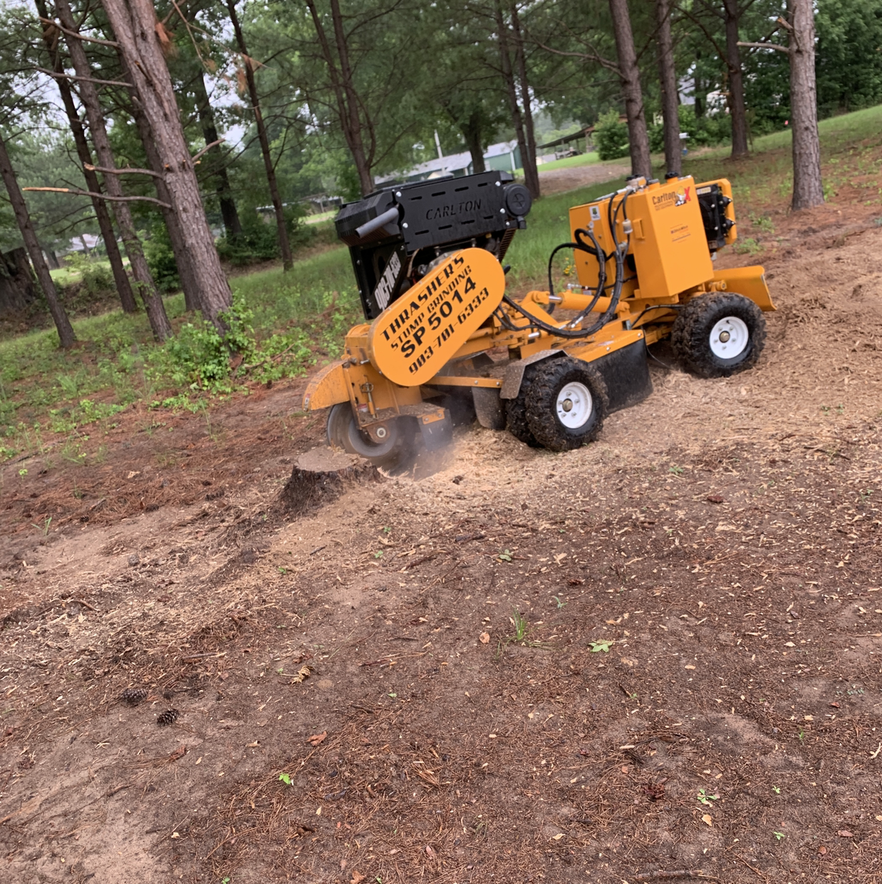Thrashers Tree Service & Stump Grinding logo
