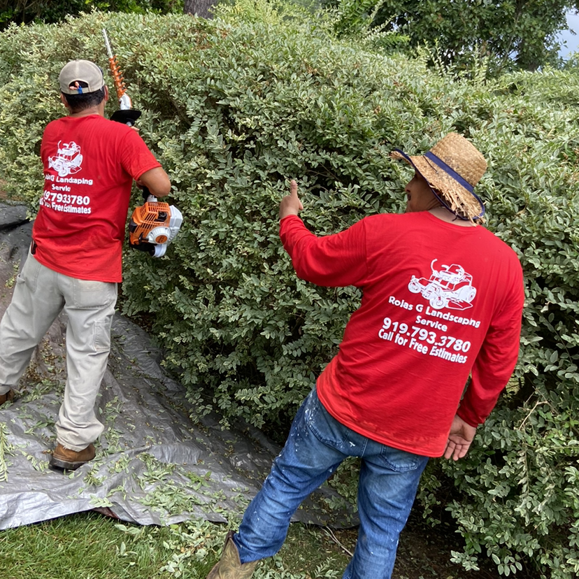 Avatar for Rojas g landscaping services