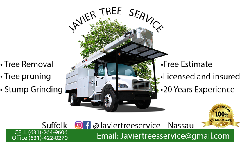 Logo for Javier tree service