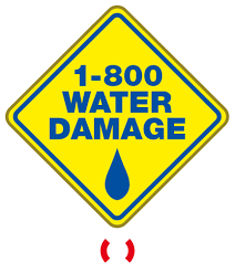 Avatar for 1-800 Water Damage