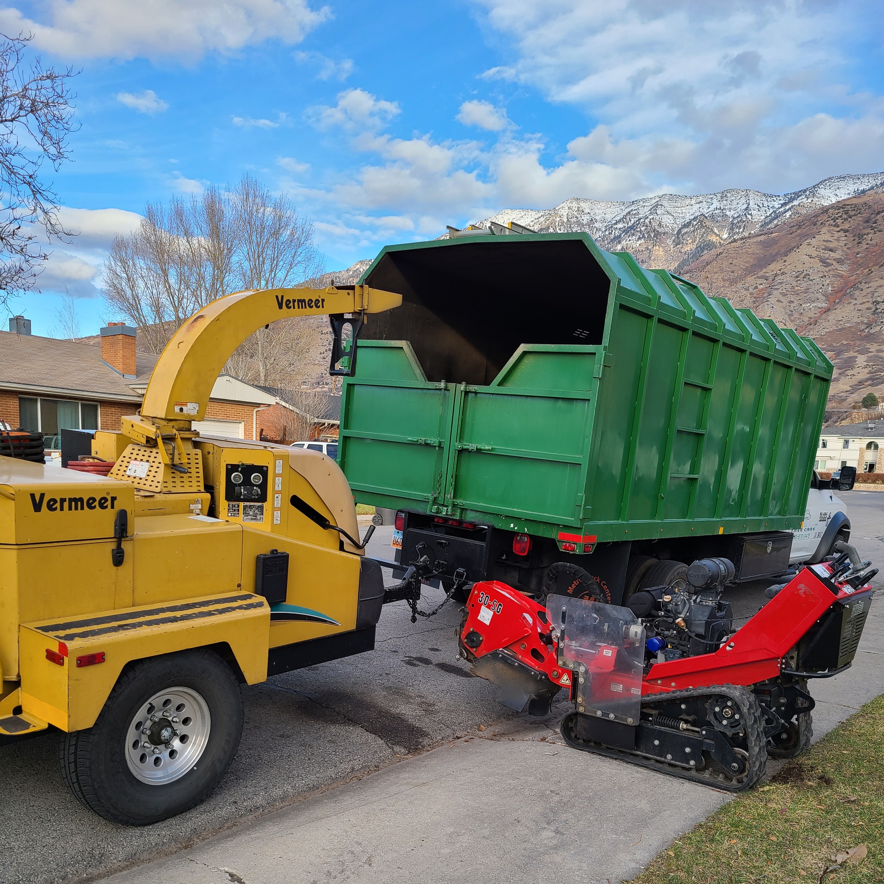Brothers Tree Service logo