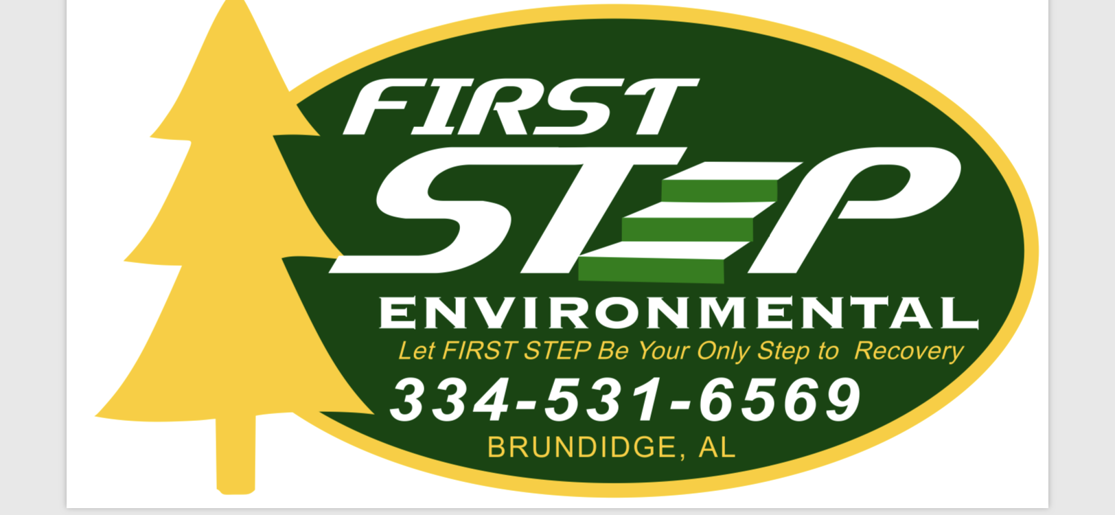Avatar for First step Environmental