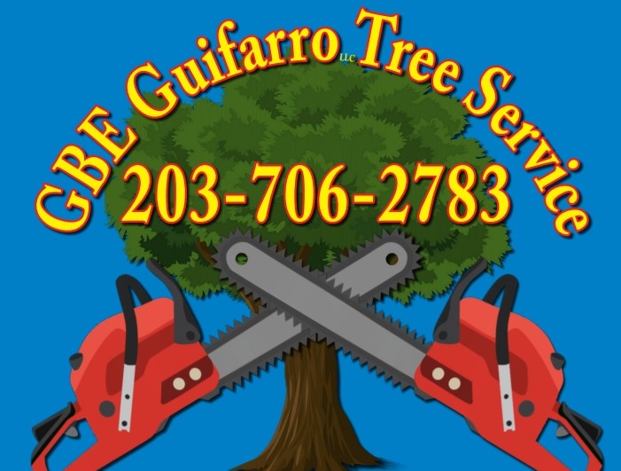 Logo for GBE GUIFARRO LLC