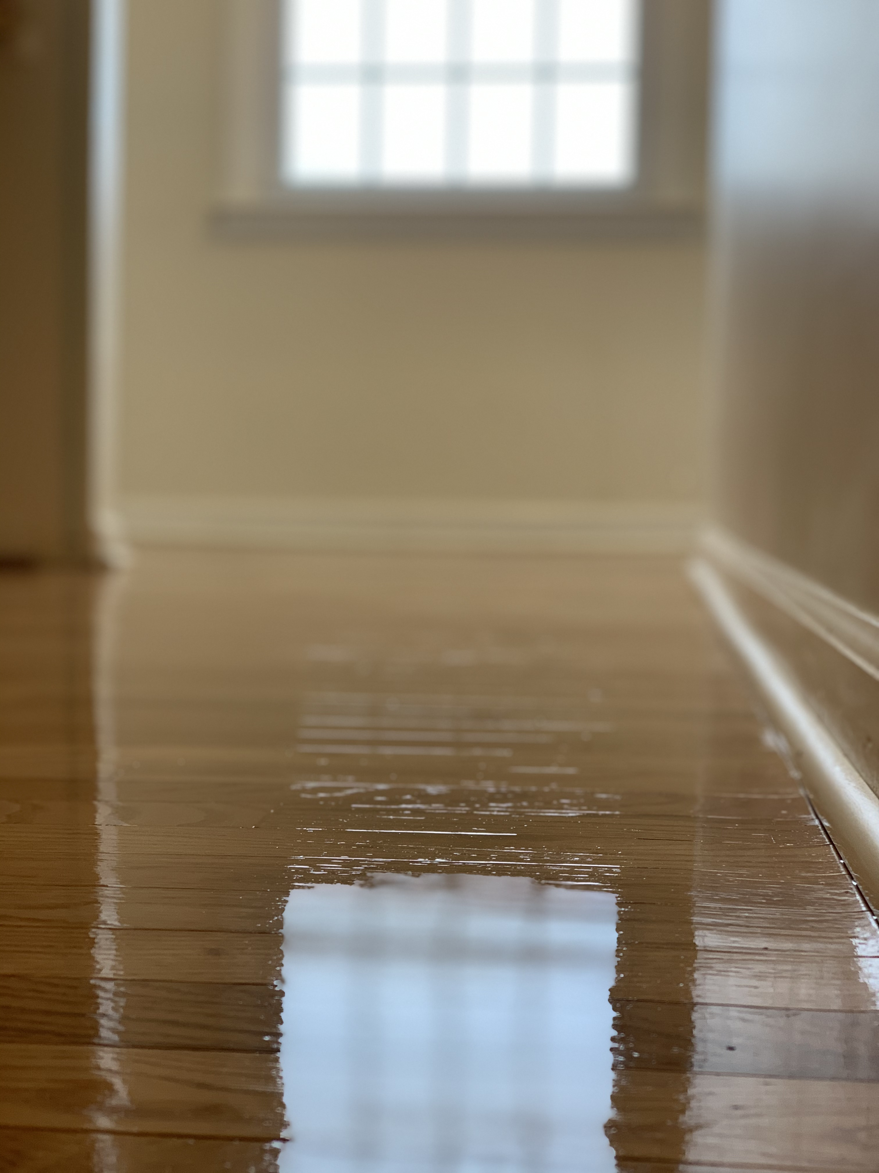 C.T. Painting & Hardwood Floor Refinishing logo