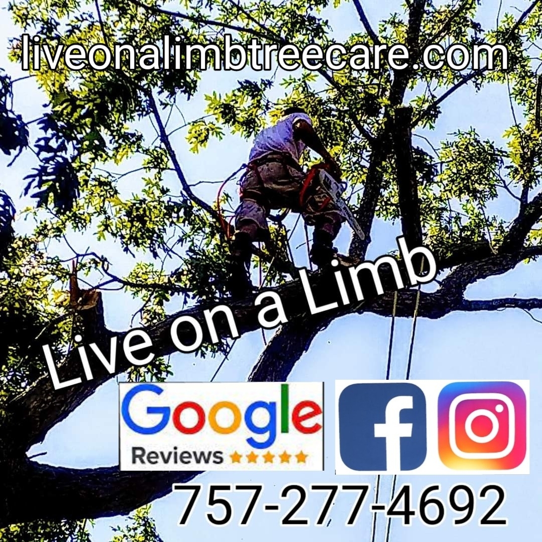 Avatar for Live on a Limb Tree Care