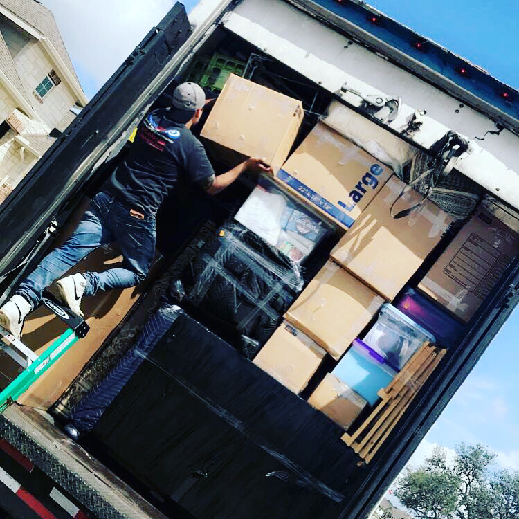 Avatar for The Moving Stallion