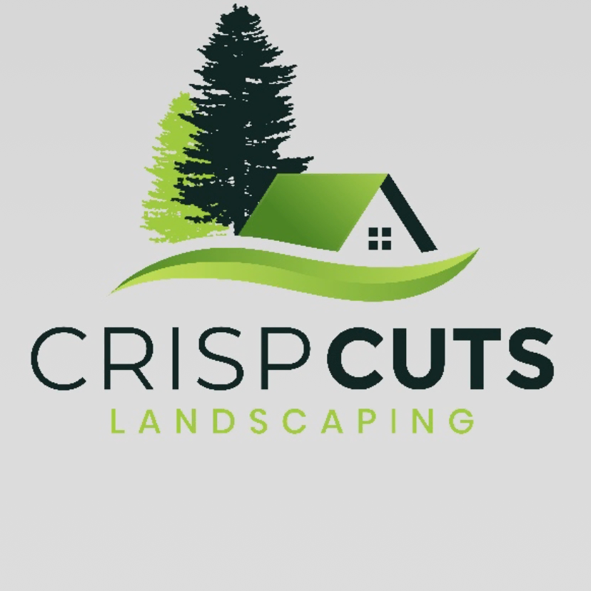 Avatar for Crisp cuts