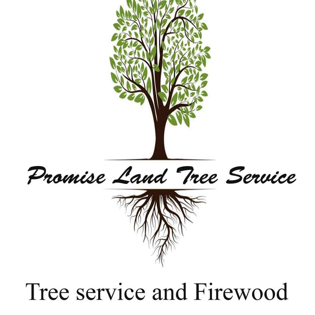 Avatar for Promise Land Tree and Branch Removal