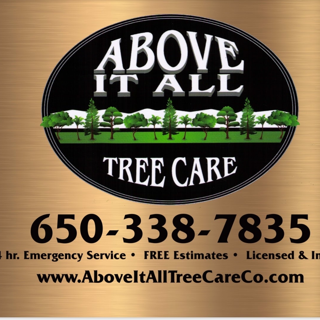 ABOVE IT ALL TREE CARE logo