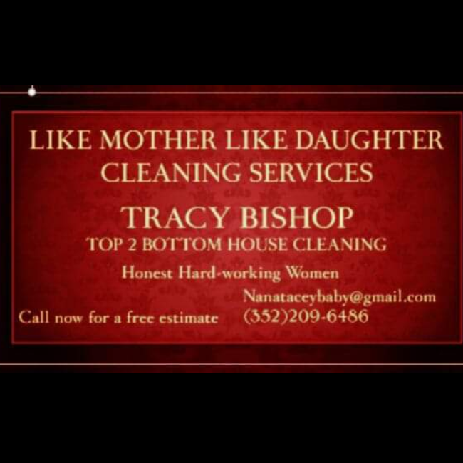 Avatar for LIKE MOTHER LIKE DAUGHTER CLEANING SERVICES