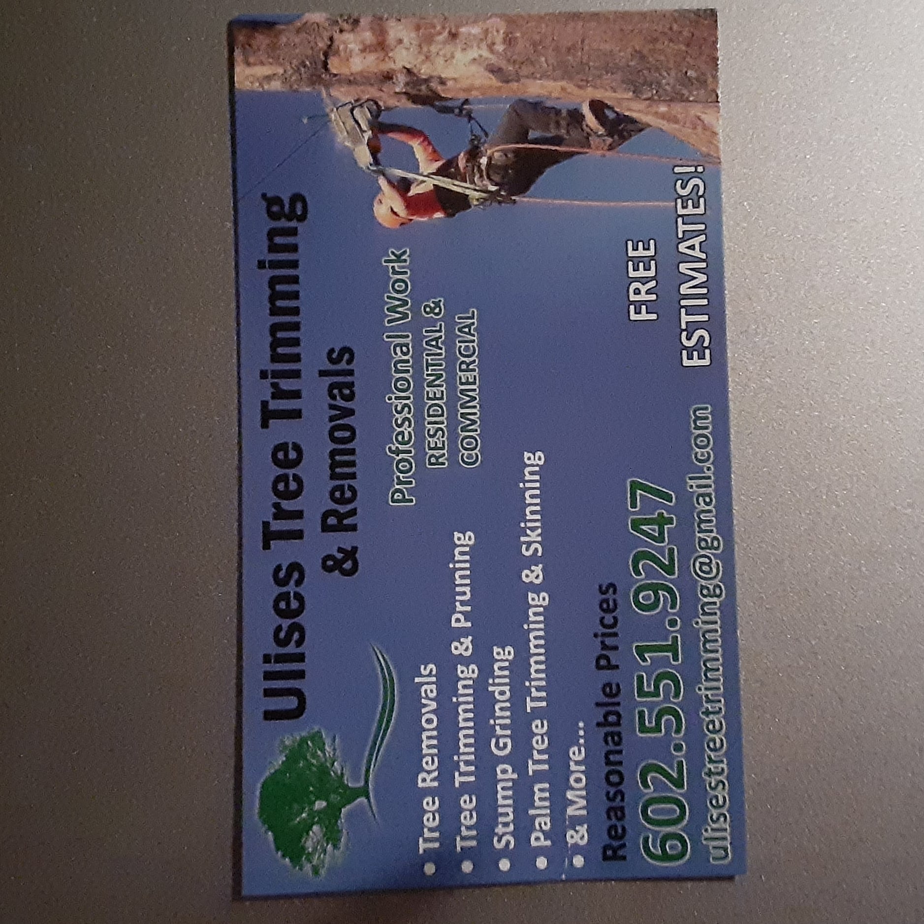 Avatar for Ulises Tree Trimming & Removals