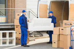 Avatar for Kirkling Removal Service