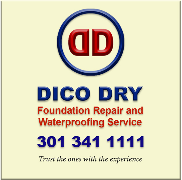 Logo for Dico-dry LLC