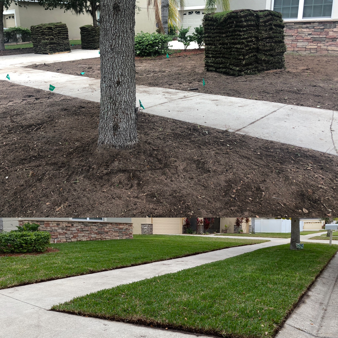 Avatar for Lees lawncare