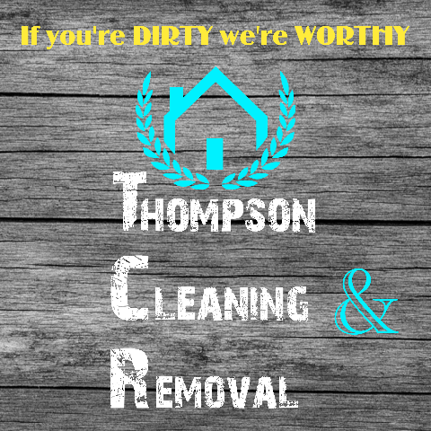 Avatar for Thompson's Cleaning and Removal