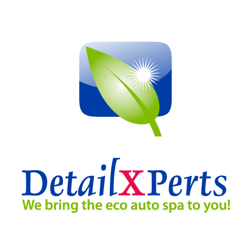 DetailXPerts logo