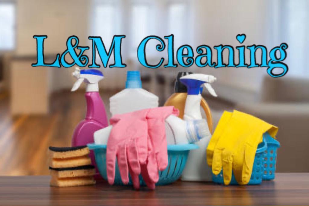 Avatar for Lucias maid cleaning