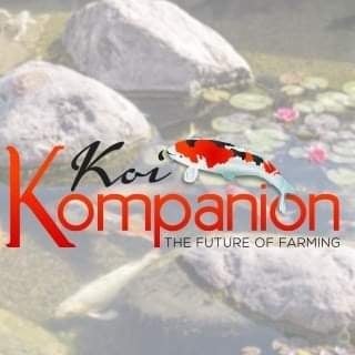 Avatar for Koi Kompanion