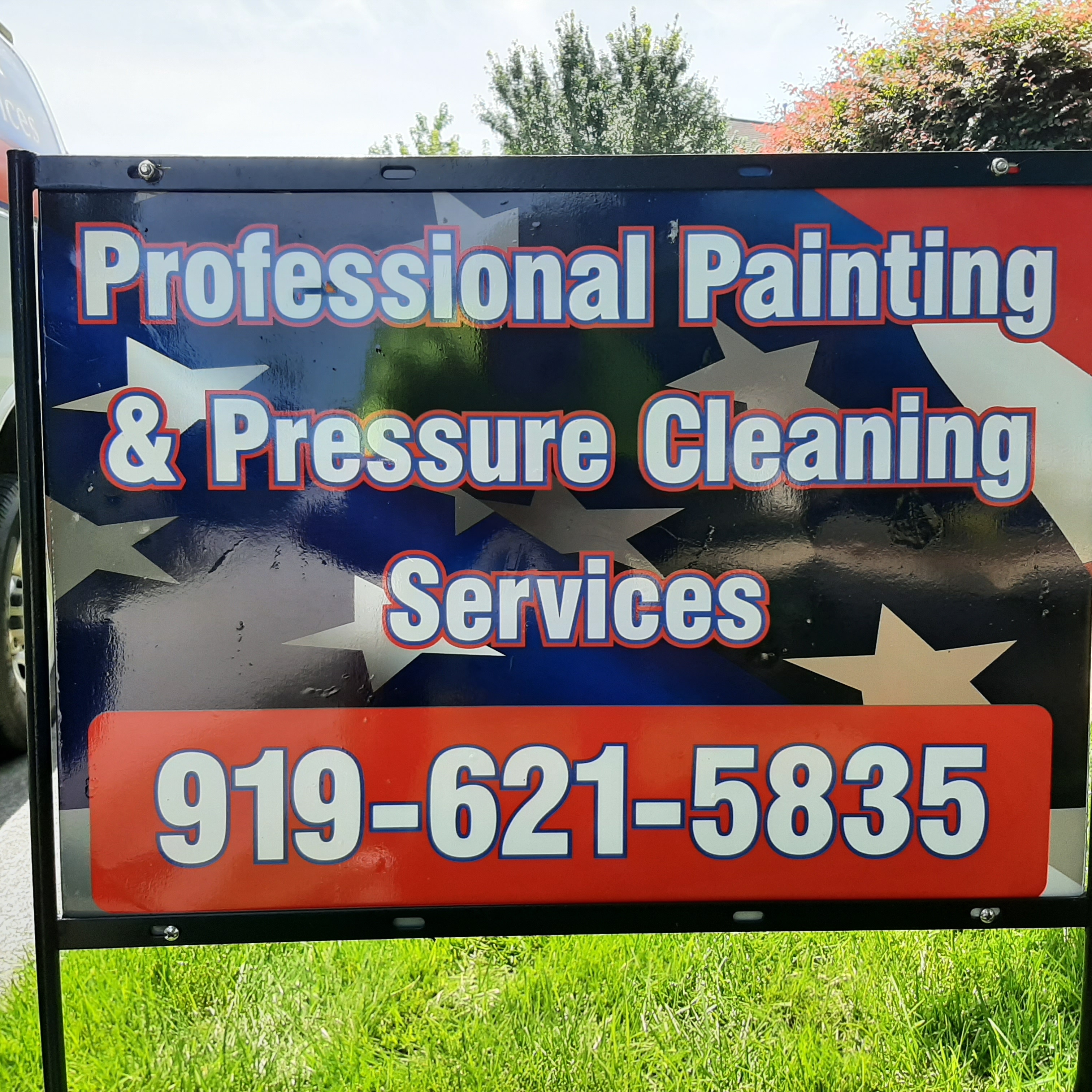 Professional Painting and Pressure Cleaning logo