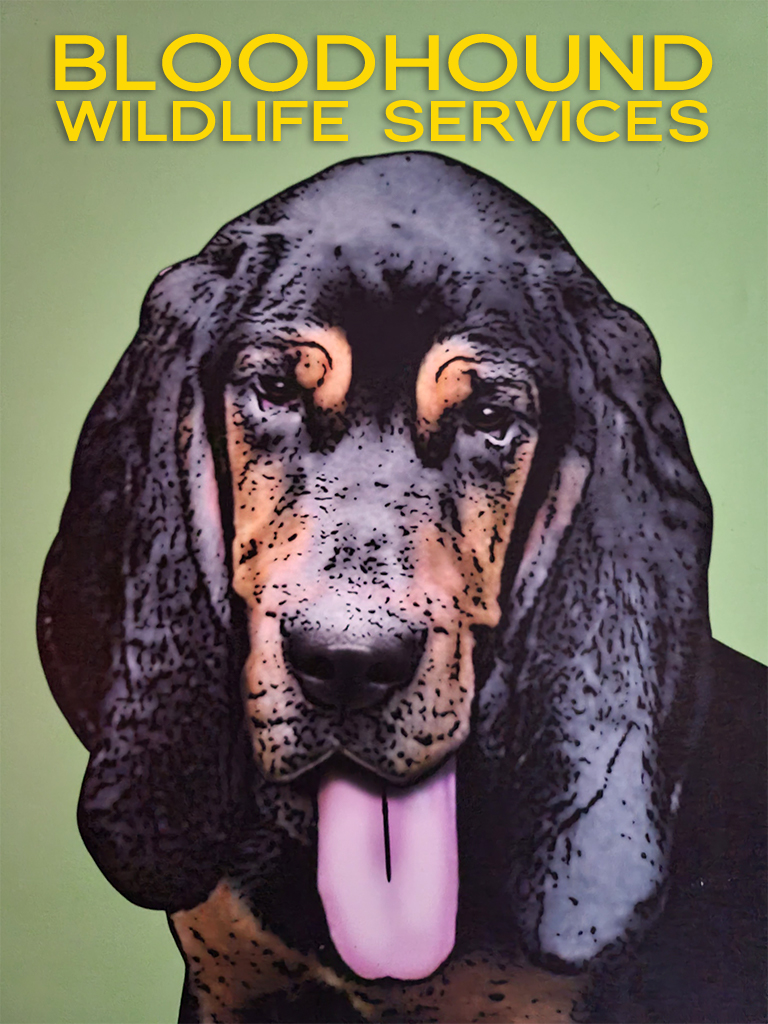 Avatar for Bloodhound Wildlife Services