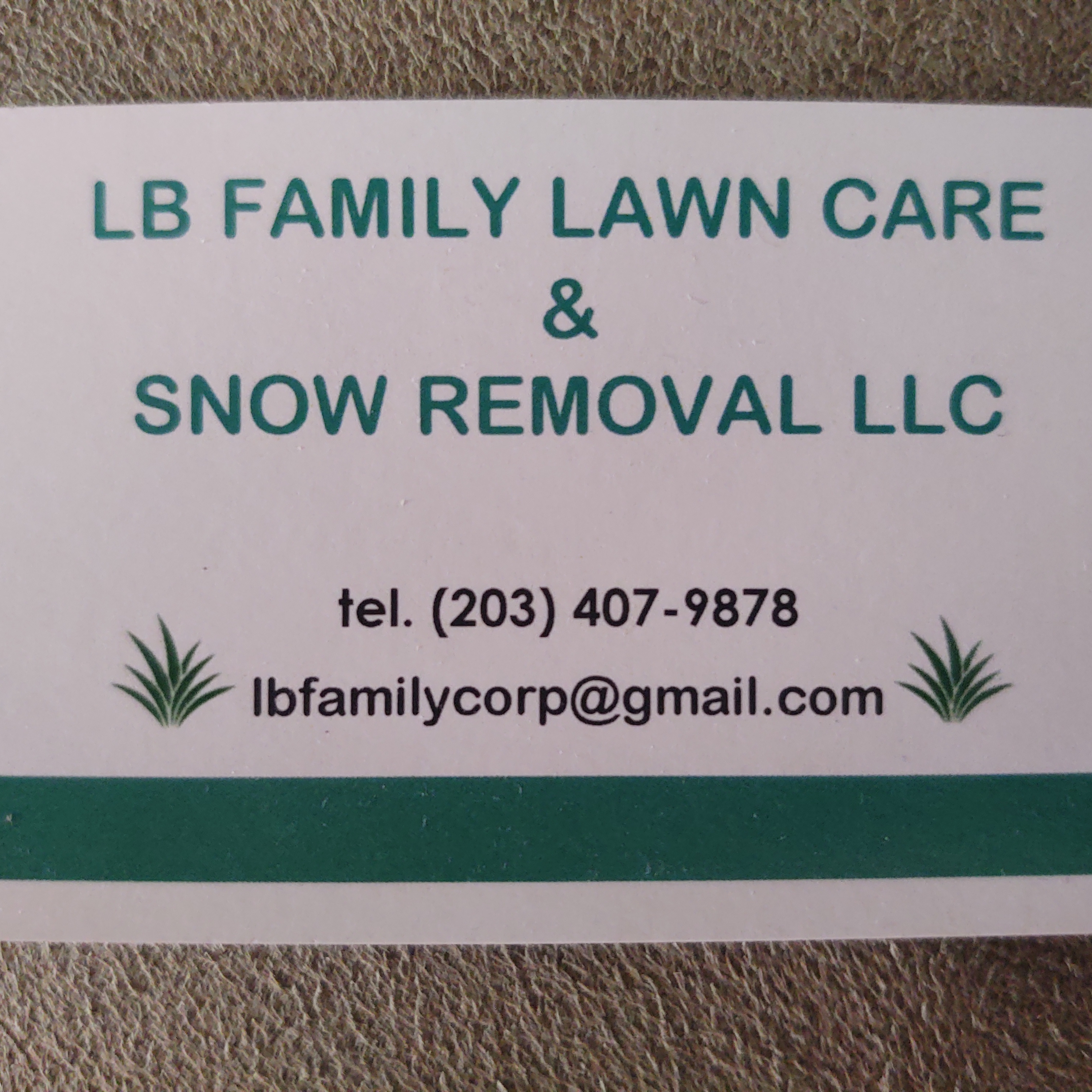 Avatar for LB Family Lawn Care & Snow Removal LLC