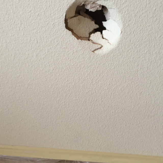 Avatar for Drywall Design