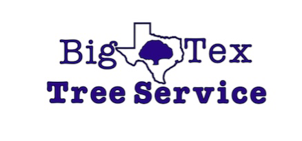 Avatar for Big Tex Tree Service