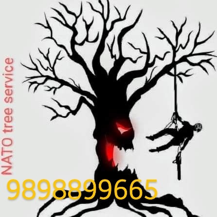 Avatar for NATO tree service