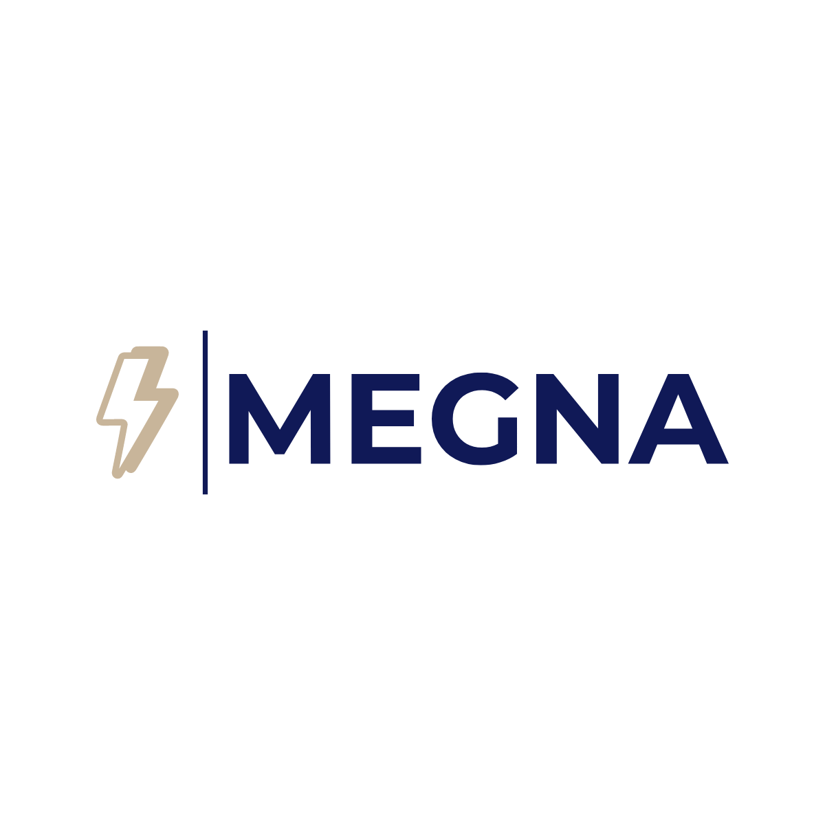 Avatar for MEGNA Services
