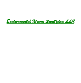 Avatar for Environmental Xtreme Sanitizing