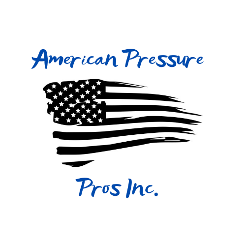 American Pressure Pros, Inc logo