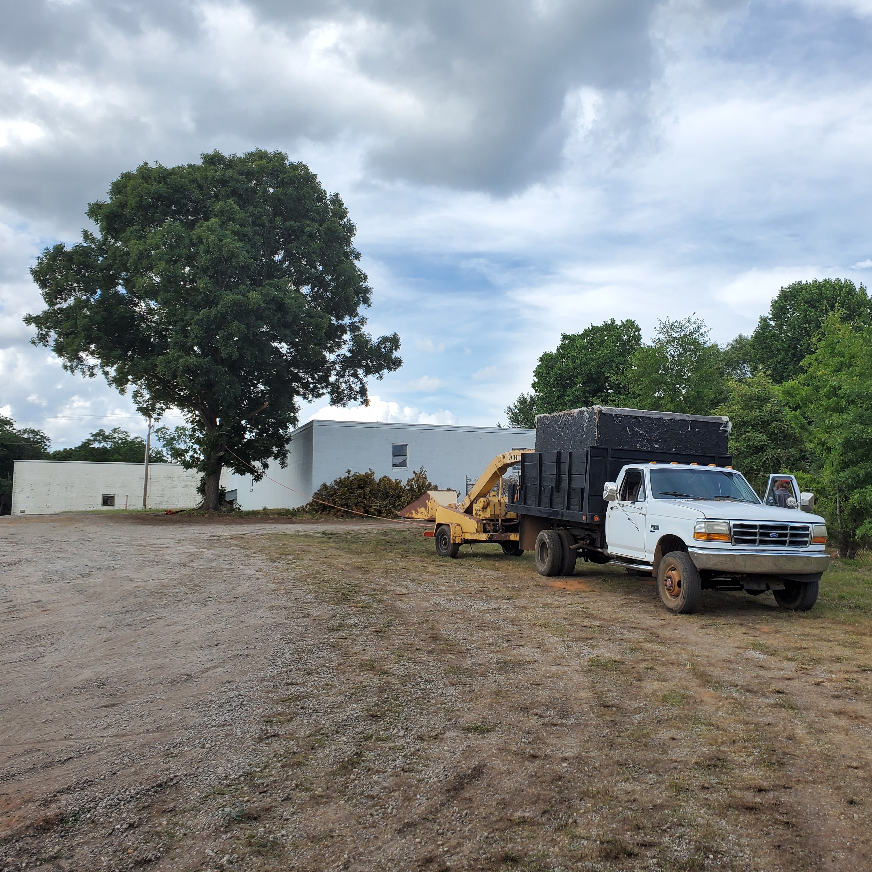 Timberline Tree Service logo