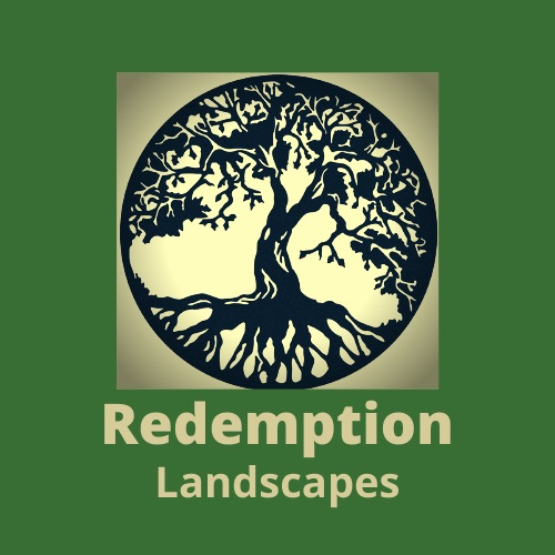 Avatar for Redemption Landscapes
