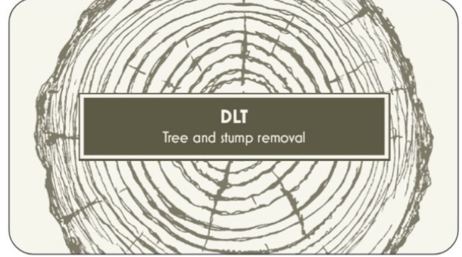 Avatar for DLT LANDSCAPES AND TREE WORK