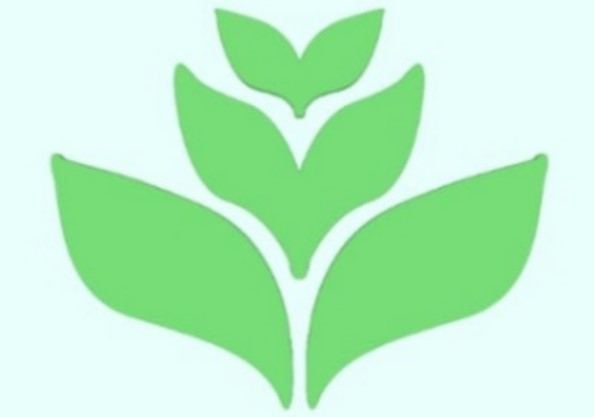 Avatar for LDC JUNK REMOVAL