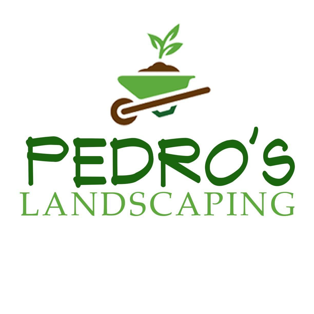 Logo for Pedro's Landscaping