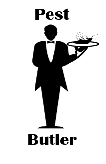 Logo for Pest Butler