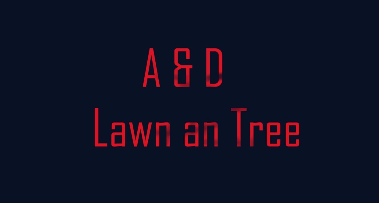 Avatar for A & D Lawn N Tree