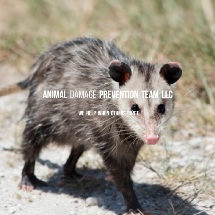 Avatar for Animal Damage Prevention Team LLC