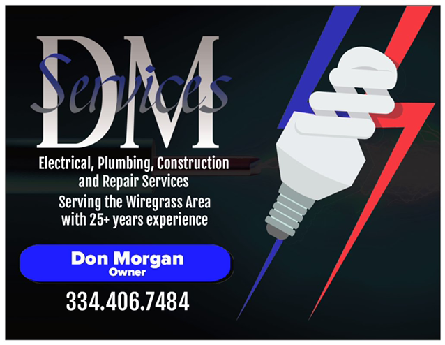 Logo for DM Services