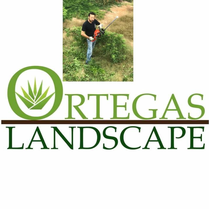 Avatar for Ortega's Landscape