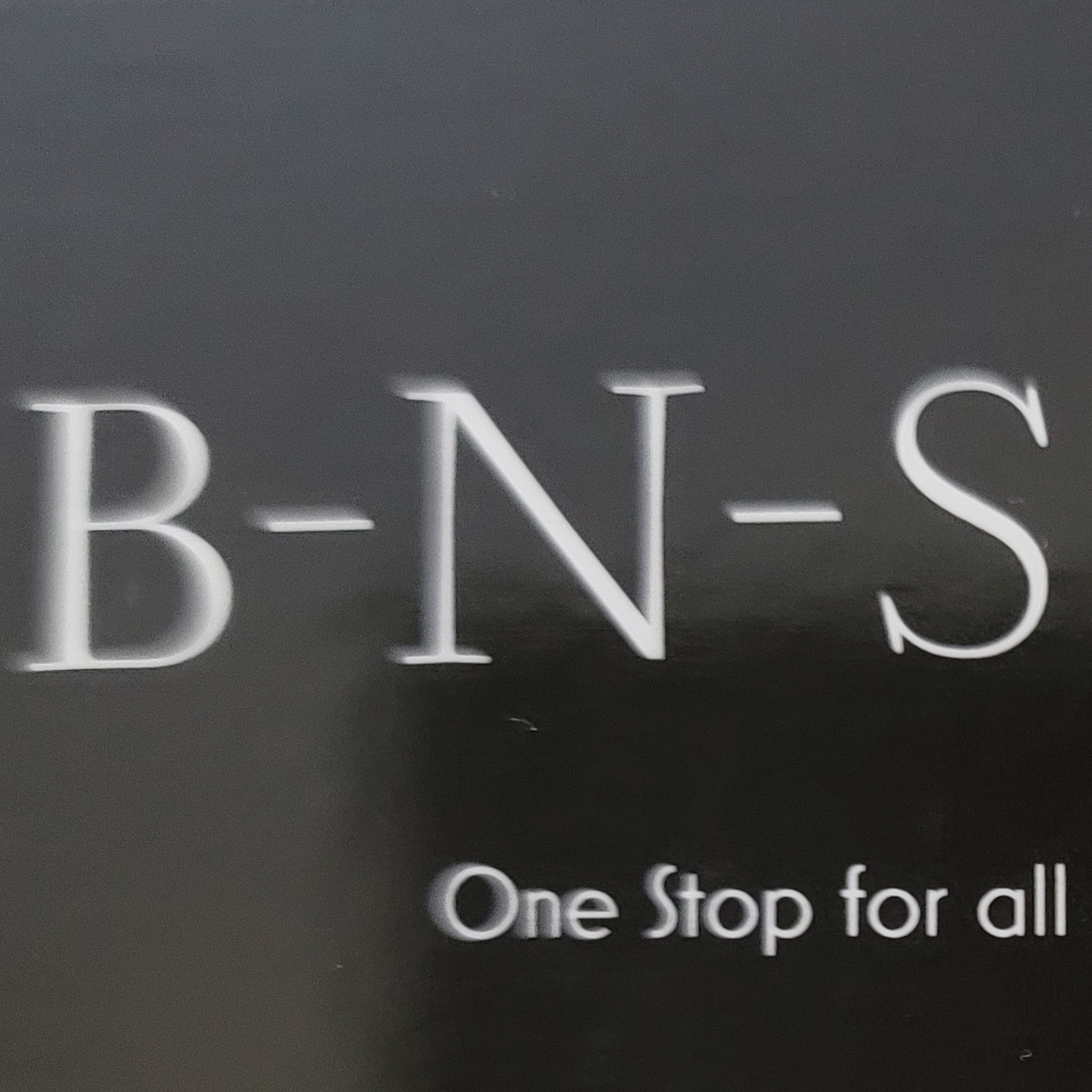 Logo for BNS Services