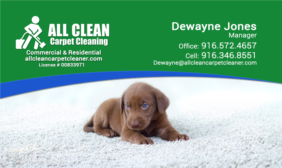 Logo for All Clean Carpet Cleaning
