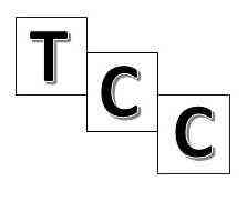Terrell Computer Consultant LLC logo