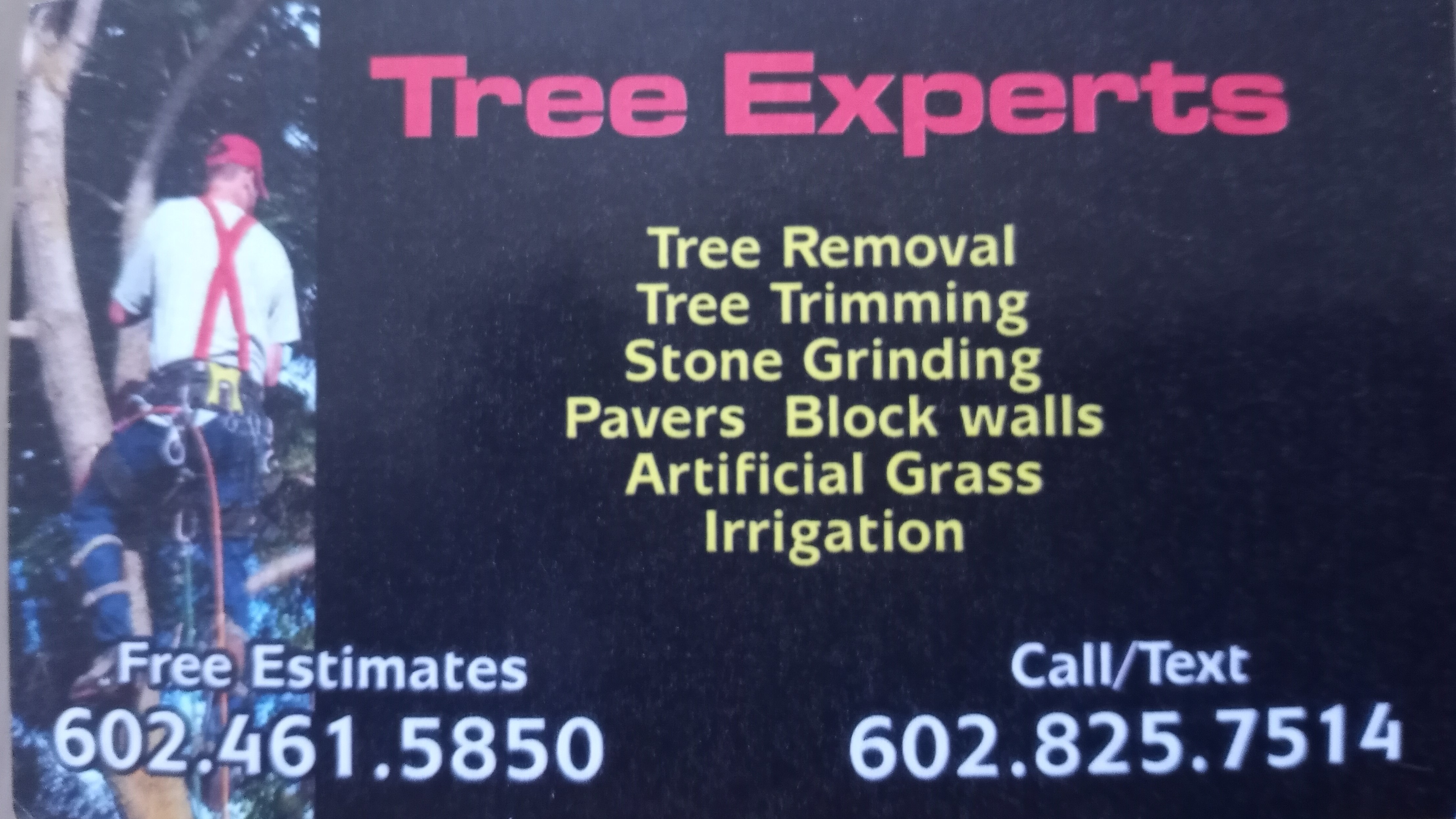 Avatar for Tree Experts