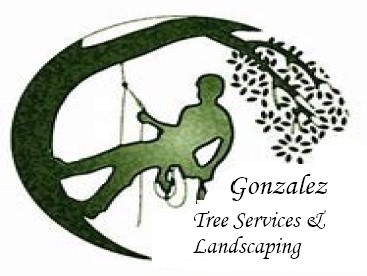 Avatar for Gonzalez Tree Services and Landscaping