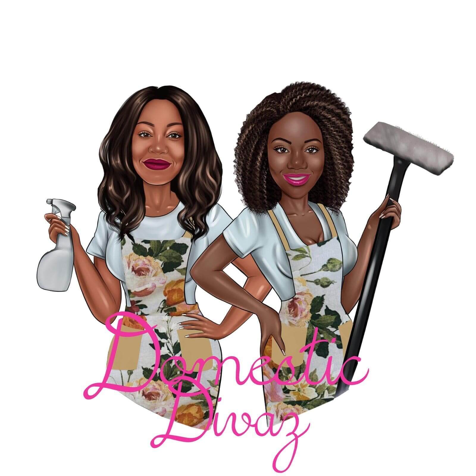 Logo for Domestic DIvaz